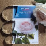 English Rose Metal Cutter Set, 36004.2