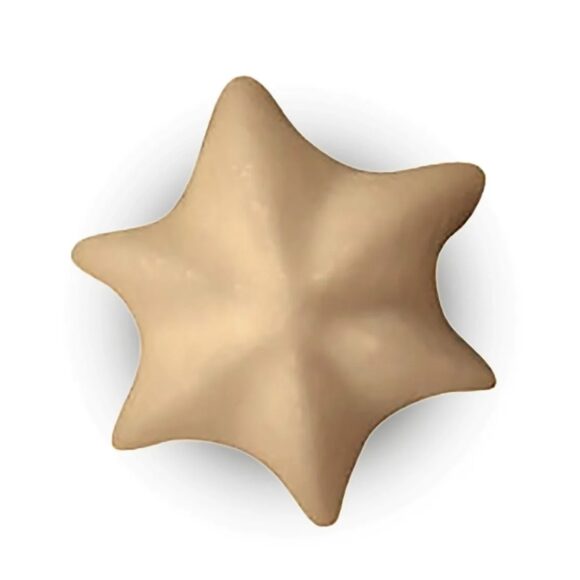 patipani