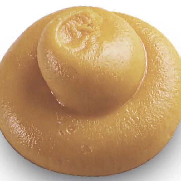 patipani