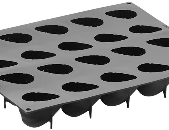 patipani