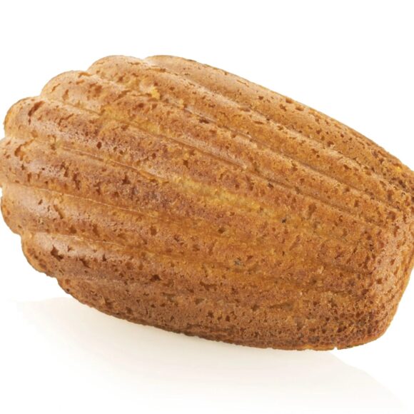 patipani