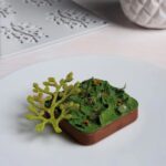 Gourmand Bonsai GG030