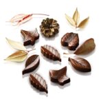 Choco Nature, SCG10
