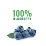 BLUEBERRY puree 100%, 1 kg