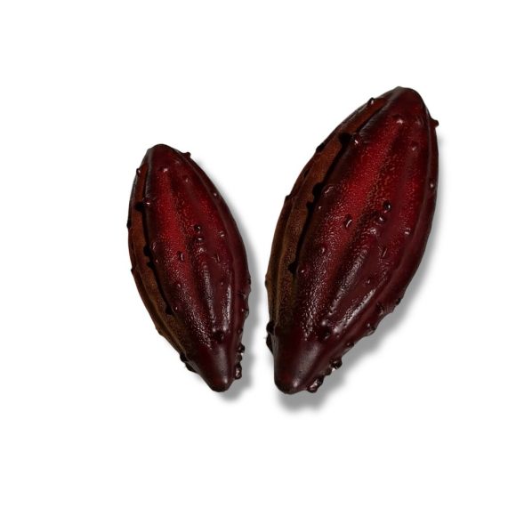 patipani